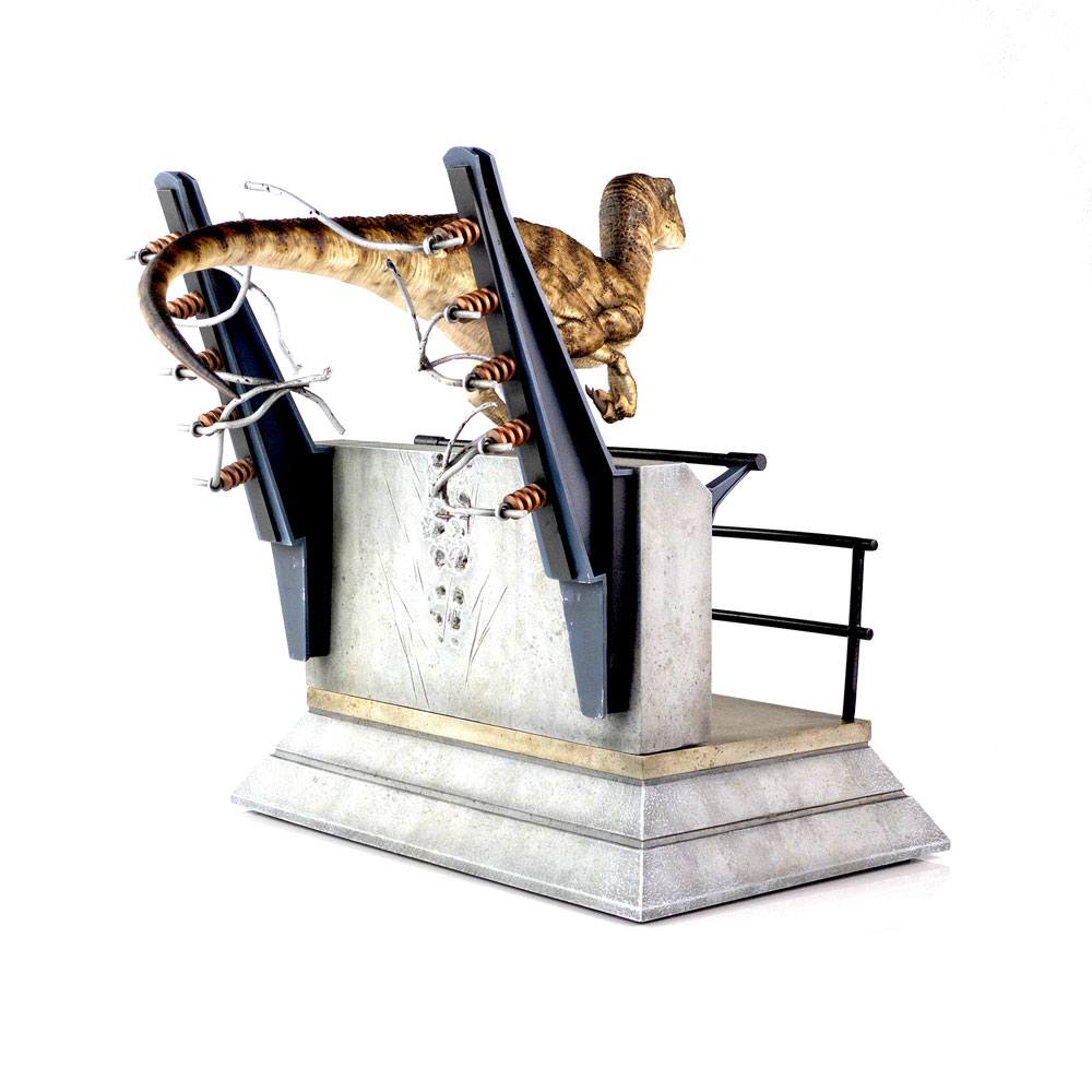 Immagine prodotto 11
